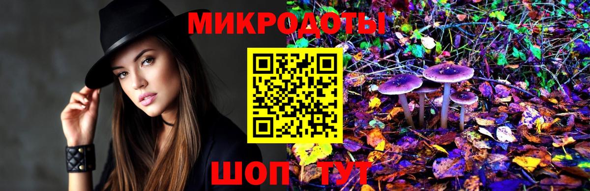 Псилоцибиновые грибы Cubensis Сорочинск