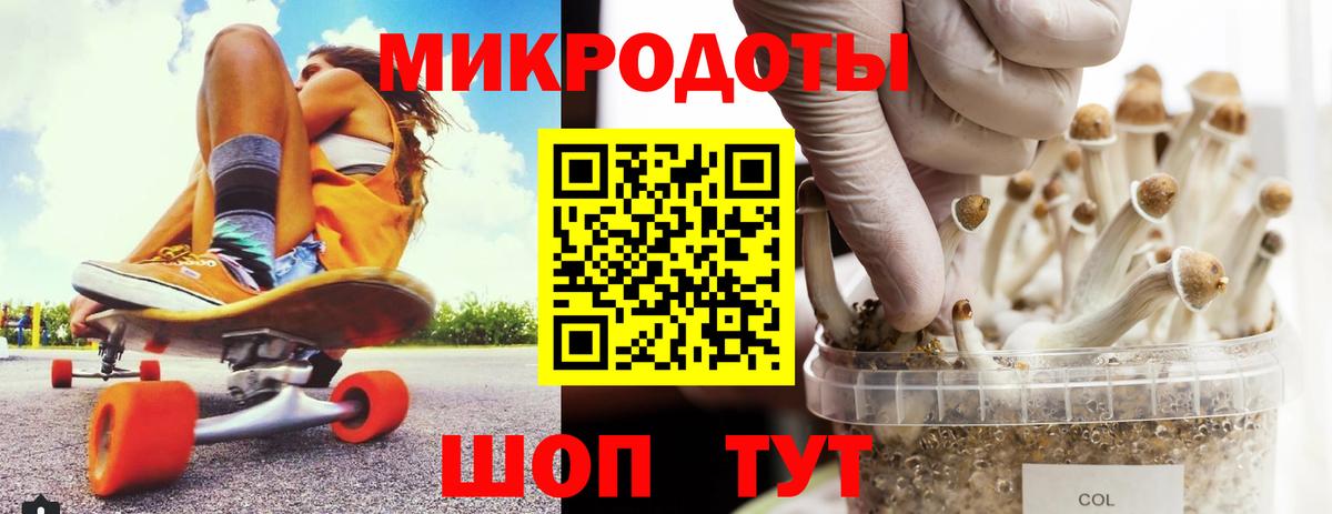Сорочинск  Псилоцибиновые грибы Psilocybine cubensis  Вход с VPN  Галлюциногенные грибы Cubensis 